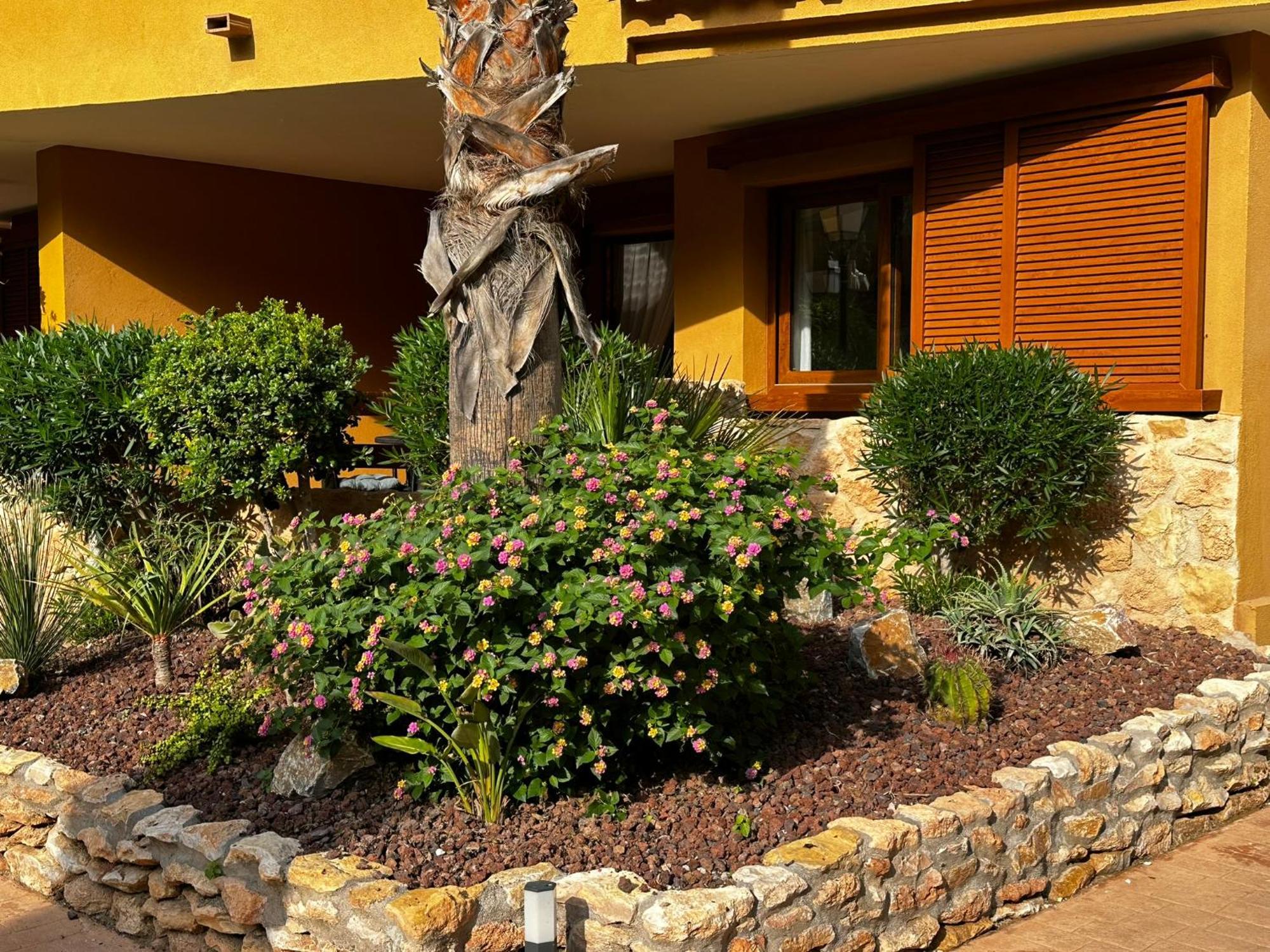 Appartement Ground Floor Punta Prima Looking At The Pool
